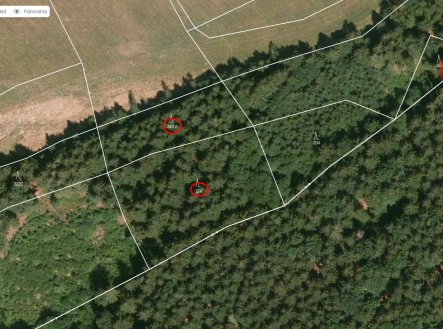 Prodej pozemku, les, 6 298 m²
