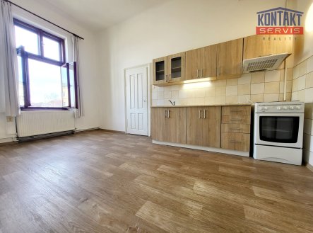 Pronájem bytu, 1+1, 53 m²