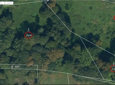 Prodej pozemku, les, 7 376 m²