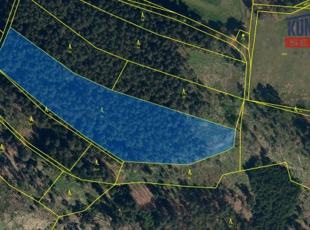 Prodej pozemku, les, 9 639 m²