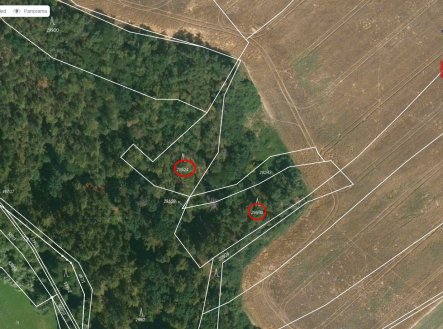 Prodej pozemku, les, 3 180 m²