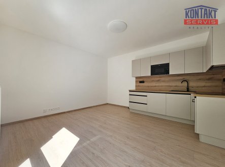 Pronájem bytu, 2+kk, 47 m²
