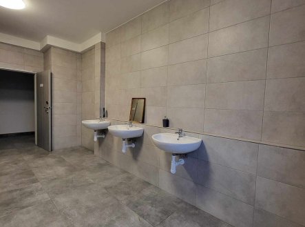 Pronájem kanceláře, 20 m²