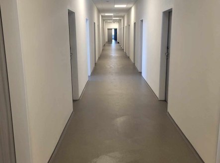 Pronájem kanceláře, 20 m²