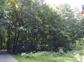 Prodej pozemku, les, 2 404 m²