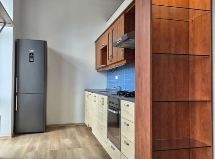 Pronájem bytu, 1+kk, 46 m²