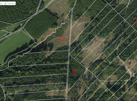 Prodej pozemku, les, 70 821 m²