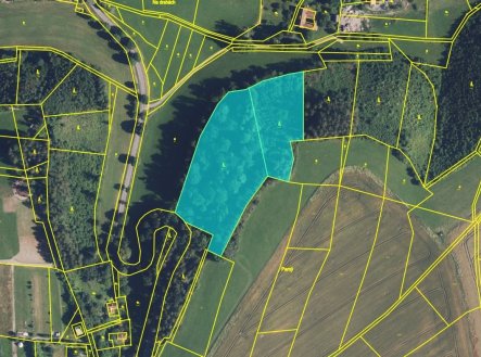 Prodej pozemku, les, 15 596 m²