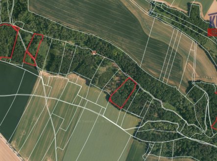 Prodej pozemku, les, 58 553 m²
