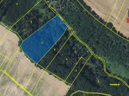 Prodej pozemku, les, 58 553 m²