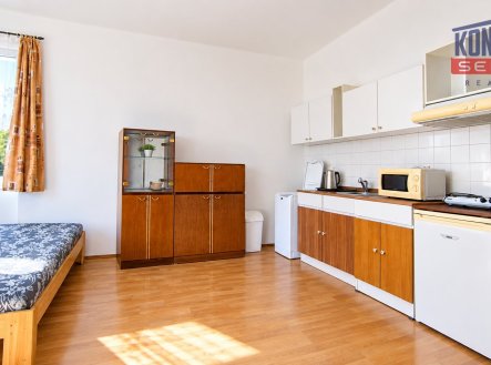 Pronájem bytu, 1+kk, 30 m²