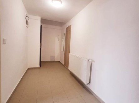 Pronájem bytu, 2+1, 43 m²