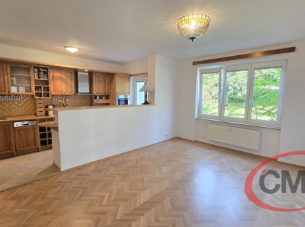 Pronájem bytu, 3+kk, 65 m²