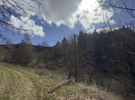 Prodej pozemku, trvalý travní porost, 9 974 m²