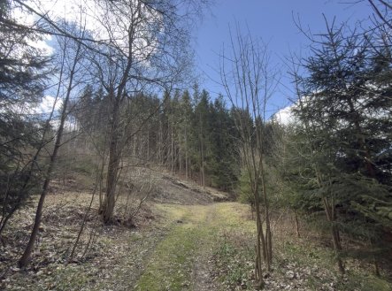 Prodej pozemku, trvalý travní porost, 9 974 m²