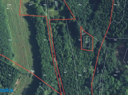 Prodej pozemku, les, 40 093 m²