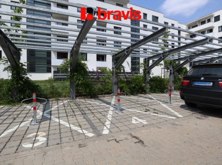 Pronájem