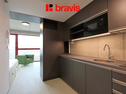 Pronájem bytu, 1+kk, 24 m²
