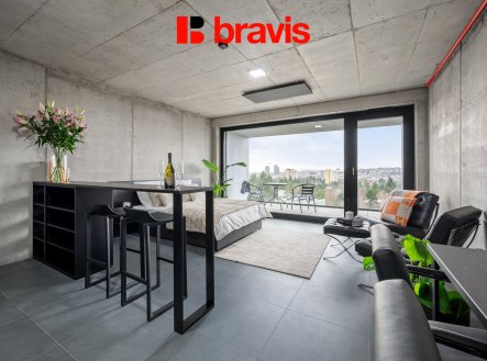 Pronájem bytu, 1+kk, 48 m²