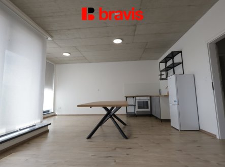 Pronájem bytu, 1+kk, 43 m²