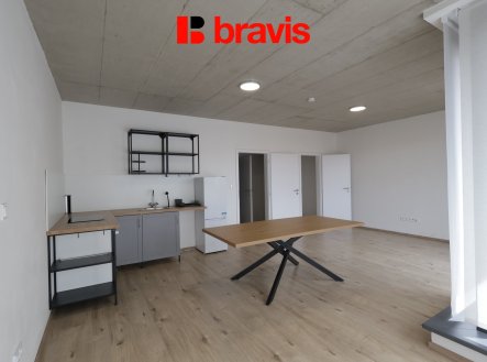 Pronájem bytu, 1+kk, 43 m²