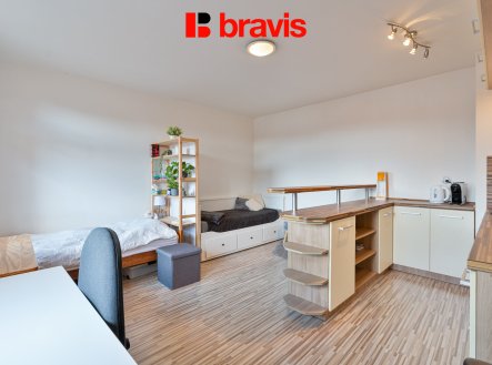 Pronájem bytu, 1+kk, 29 m²