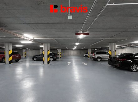 Pronájem