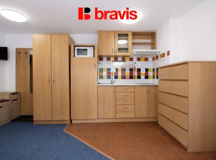 Pronájem bytu, 1+kk, 23 m²