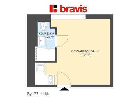 Pronájem bytu, 1+kk, 18 m²