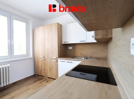 Pronájem bytu, 1+1, 42 m²