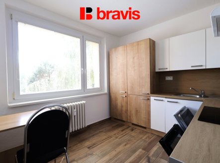 Pronájem bytu, 1+1, 42 m²