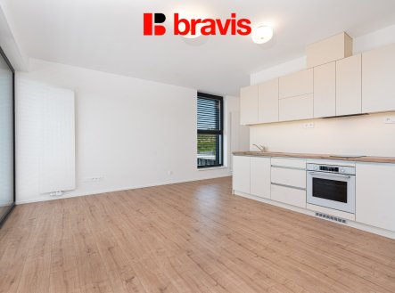 Pronájem bytu, 1+kk, 47 m²