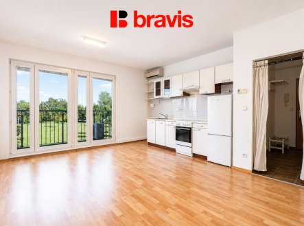 Prodej bytu, 1+kk, 60 m²