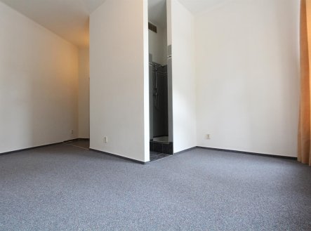 Pronájem bytu, 1+kk, 28 m²