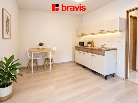 Pronájem bytu, 1+kk, 28 m²