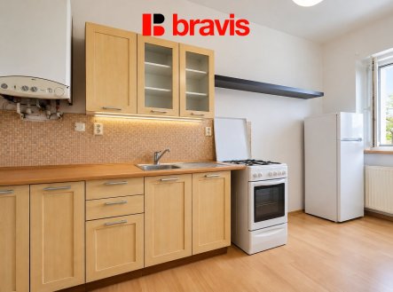 Pronájem bytu, 1+1, 48 m²