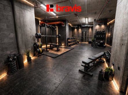 Pronájem bytu, 1+kk, 45 m²