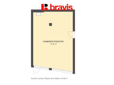 Pronájem obchodní prostory, 45 m²