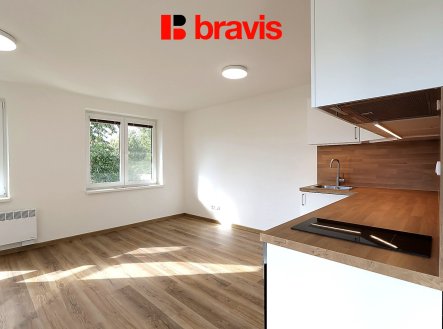 Pronájem bytu, 1+kk, 39 m²