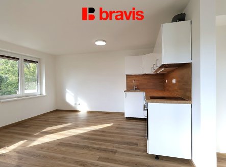 Pronájem bytu, 1+kk, 39 m²