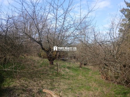 20260403_111147 | Prodej - pozemek pro bydlení, 973 m²