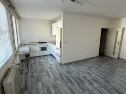 Pronájem bytu, 1+kk, 38 m²