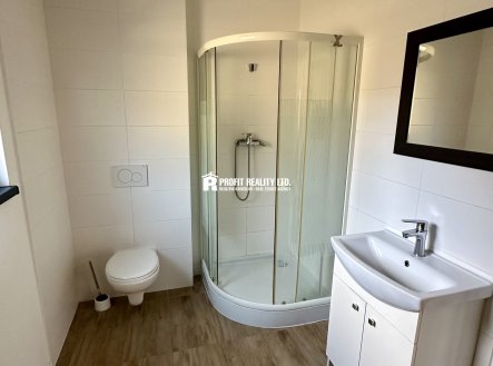 Pronájem bytu, 1+kk, 35 m²