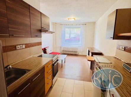 Pronájem bytu, 1+kk, 24 m²