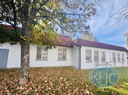 Pronájem obchodní prostory, 25 m²