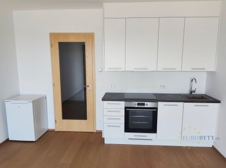Pronájem bytu, 1+kk, 41 m²