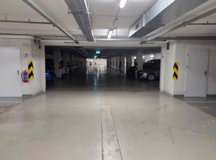 Pronájem