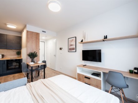 Prodej bytu, 1+kk, 22 m²