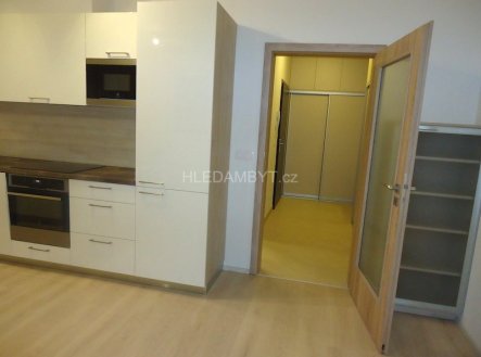 Pronájem bytu, 1+kk, 42 m²