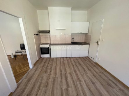 Pronájem bytu, 2+1, 54 m²